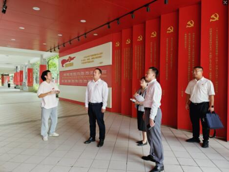 1766029524520523.jpg 5.jpg